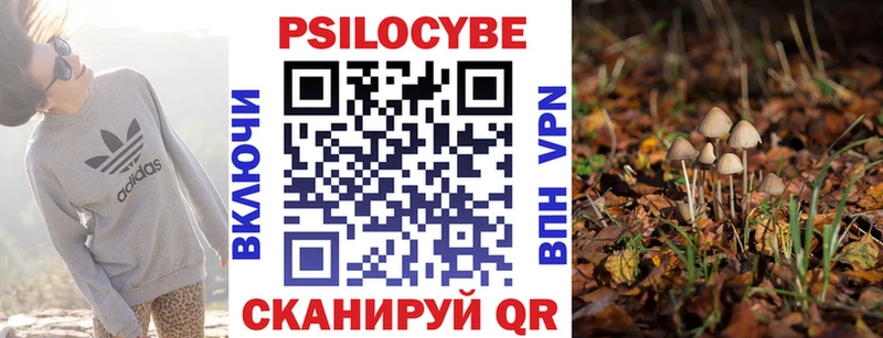 Псилоцибиновые грибы мухоморы  Галич 