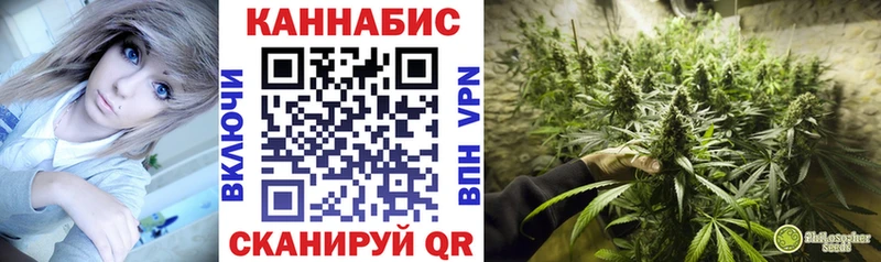Бошки марихуана планчик  Галич 